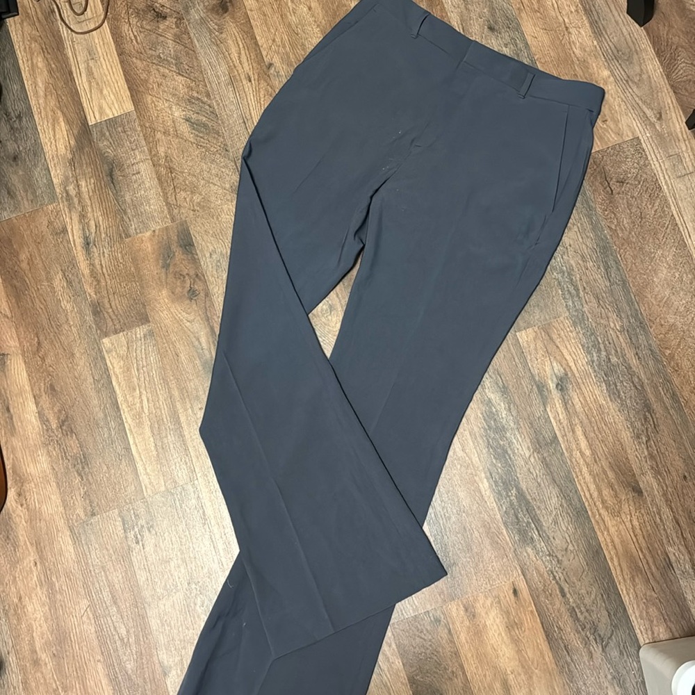 Shark Gray Banana Republic Pants Sz 10